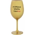 POTŘEBUJU TEKUTOU TERAPIJU - zlatá sklenice na víno 350 ml