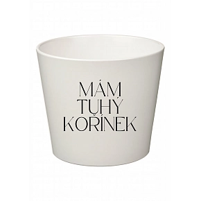 MÁM TUHÝ KOŘÍNEK - velký květináč 