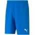 ŠPORT Pánske šortky teamRISE Short 704942 02 Svetlo modrá - Puma