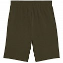 Pánske šortky M 684715 70 tmavo zelené - Puma
