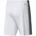 Pánske šortky Squadra 21 Short GN5773 - Adidas