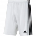 Pánske šortky Squadra 21 Short GN5773 - Adidas