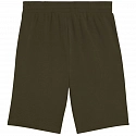 Pánske šortky M 684715 70 tmavo zelené - Puma