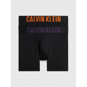 Pánske boxerky 000NB2603A GXL čierne - Calvin Klein