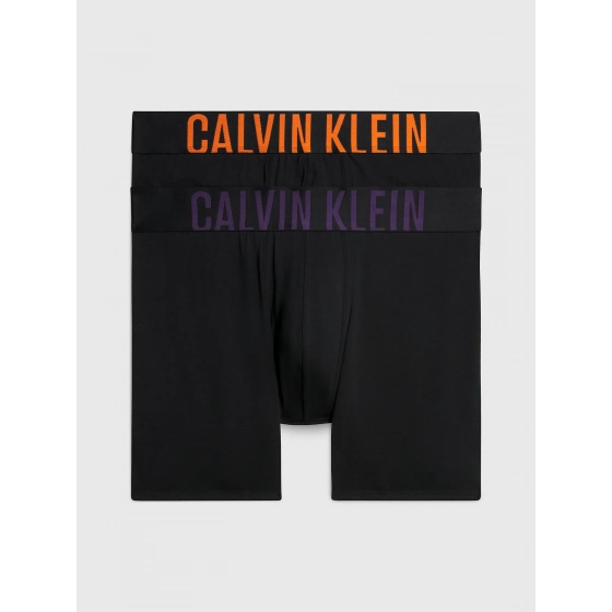 Pánske boxerky 000NB2603A GXL čierne - Calvin Klein