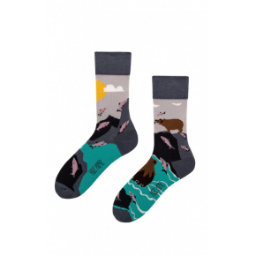 Ponožky pánske Medveď a Rybky viacfarebná - Spox Sox