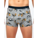 Pánske boxerky Tattoo BAT 280/252 Sivá vzor - Cornette