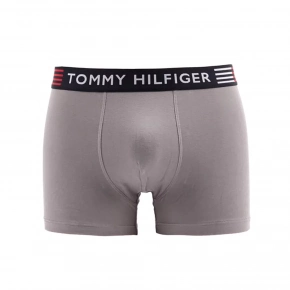 Flex Trunk UM0UM02411-PTM - Tommy Hilfiger