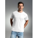 T-shirt męski premium 21185-20