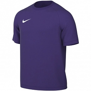 Pánske tričko Dri-Fit Park VIII HV8173 547 fialové - Nike