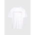 Pánske tričko na spanie S/S CREW NECK 000NM2501E 100 biele - Calvin Klein
