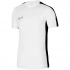 Pánske tričko DF Academy 23 SS M DR1336 - Nike