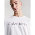 Pánske tričko na spanie S/S CREW NECK 000NM2501E 100 biele - Calvin Klein