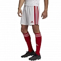 Pánske kraťasy Squadra 21 Short M GN5770 bielo-červené - Adidas
