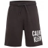 Pánske teplákové šortky KM0KM00753 - BEH Čierna - Calvin Klein