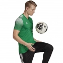 Pánske tričko Regista 20 Jersey M FI4559 - Adidas