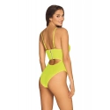 Zvodné body Neonia teddy - Obsessive