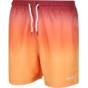 Pánske plavkové šortky Loras Swim Short 4JC oranžové - Regatta
