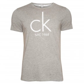 Pánské tričko s krátkým rukávem KM0KM00189-020 - Calvin Klein
