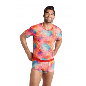 Pánske tričko Falcon T-shirt - Anais