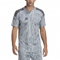 Pánsky brankársky dres Condivo 22 HB1622 Sivý s béžovou vzor - Adidas
