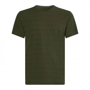 Pánské tričko s krátkým rukávem NB2364E-0S6 - Calvin Klein