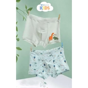 Chlapčenské boxerky 5002 A'2 kombinácia zelenej - DC Polo
