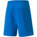 ŠPORT Pánske šortky teamRISE Short 704942 02 Svetlo modrá - Puma